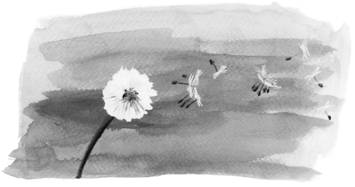 Kapitel Das Leben atmen